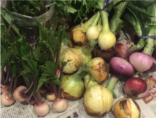 新たまねぎとかぶ