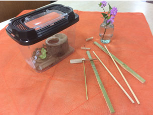 クワガタと竹とんぼ